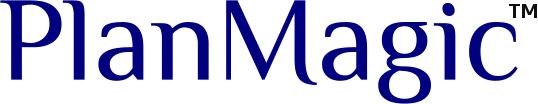 PlanMagic Business Plan
