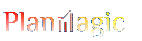 Best Business Plan Solutions